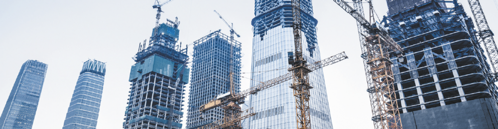 Real Estate & Hotel Development
