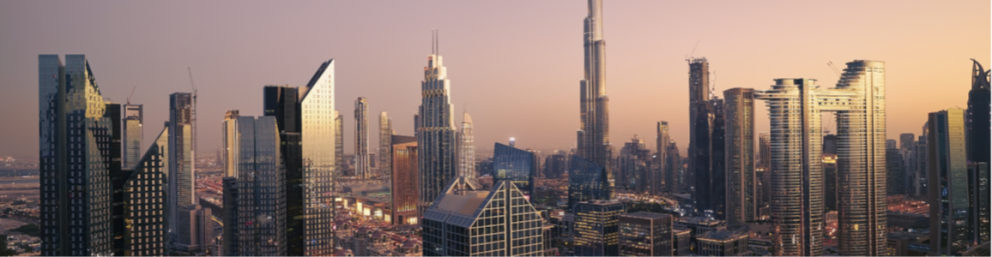 United Arab Emirates Network