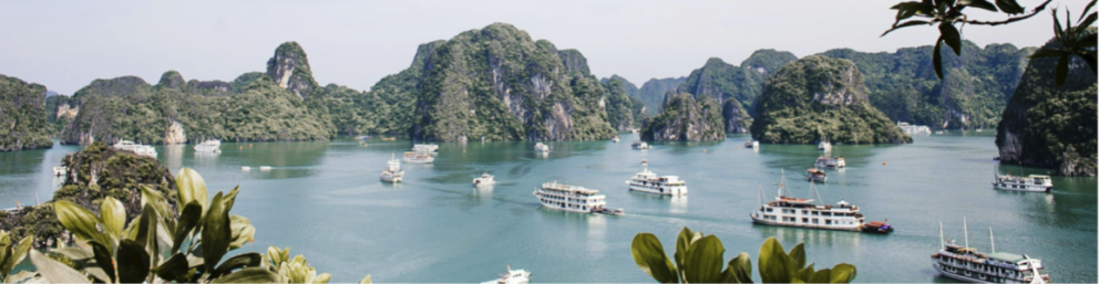 Vietnam Network